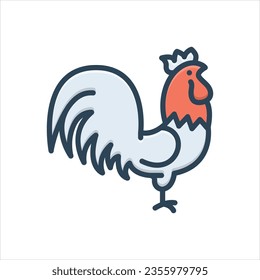 Vector colorful illustration icon for cock