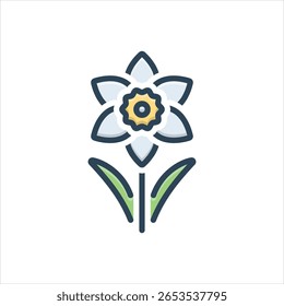 Ícone de ilustração colorido vetorial para narciso