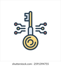 Vector colorful illustration icon for digital key