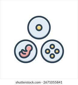 Vector colorful illustration icon for embryo culture