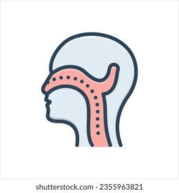Vector colorful illustration icon for ent