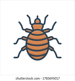 Vector colorful illustration icon for flea