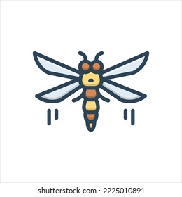 Vector colorful illustration icon for fly