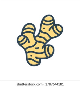 Vector colorful illustration icon for ginger