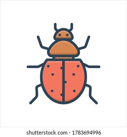 Vector colorful illustration icon for ladybug