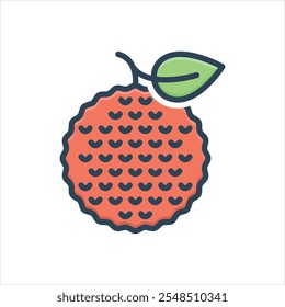 Ícone de ilustração colorido vetorial para litchi