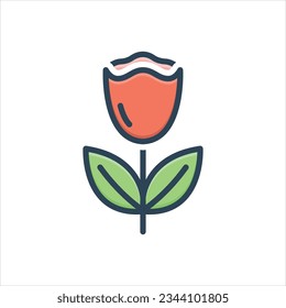 Vector colorful illustration icon for macro