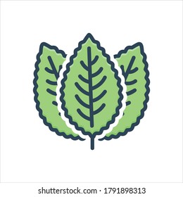 Vector colorful illustration icon for mint