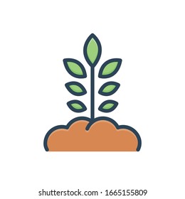 Vector colorful illustration icon for origination