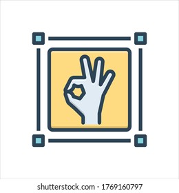 Icono de ilustración de color vectorial para perfecto