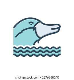 Vector colorful illustration icon for platypus