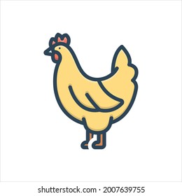 Vector colorful illustration icon for  poultry