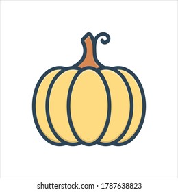 Vector colorful illustration icon for pumpkin