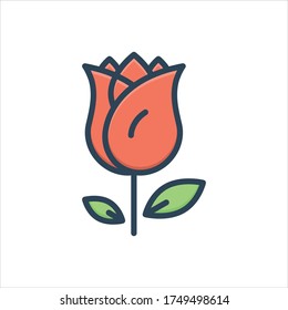 Vector colorful illustration icon for rose