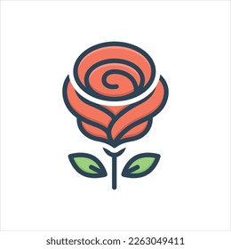 Vector colorful illustration icon for rose