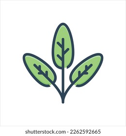 Vector colorful illustration icon for sage