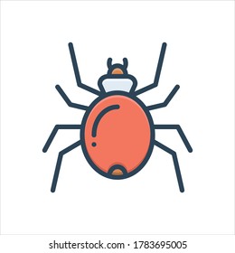 Vector colorful illustration icon for spider