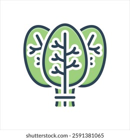 Vector colorful illustration icon for spinach