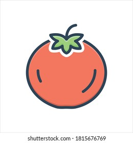 Vector colorful illustration icon for tomato