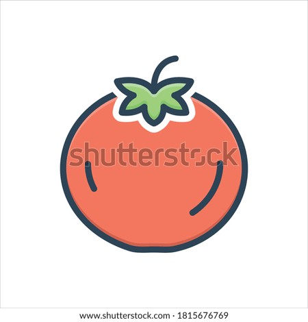 Vector colorful illustration icon for tomato