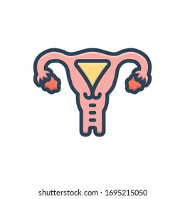 Vector colorful illustration icon for uterus