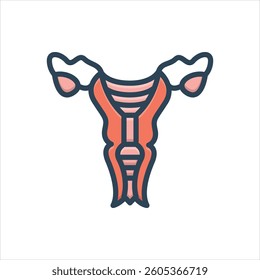 Vector colorful illustration icon for uterus