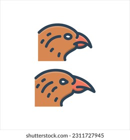Vector colorful illustration icon for variation