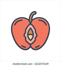 Vektorfarbige Illustrationssymbol für Vulva