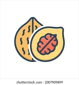 Vector colorful illustration icon for  walnut