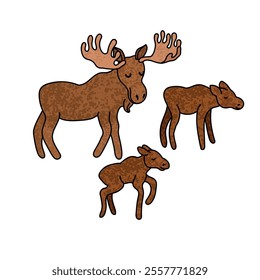 Vector Colorful Illustration of Moose with Moose Calves Isolated on White Background