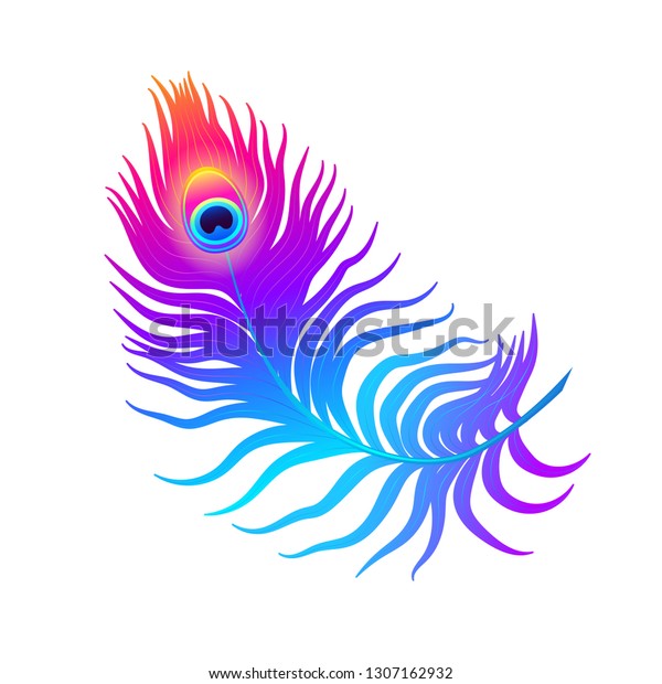 Vector Colorful Illustration Neon Peacock Feather Stock Vector (Royalty ...