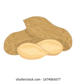 Vector colorful illustration of peanuts isolated on white background. Design for peanut butter or chocolate packing