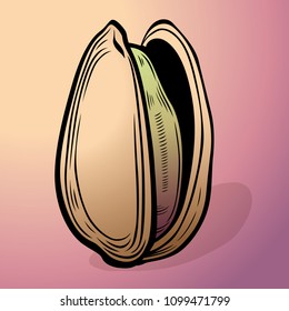 Vector colorful illustration of pistachio on gradient background