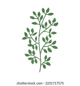 Vector Colorful illustration of plant with green leaves isolated on white background