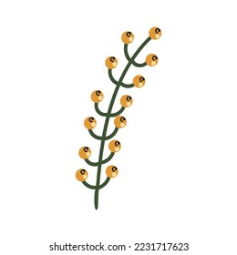 Vector Colorful illustration of plant with yellow berries isolated on white background