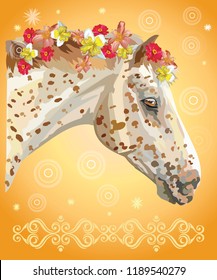 Vector colorful illustration. Portrait of spotted horse with different flowers in mane isolated on orange gradient background with decorative ornament and circles. Image for art and design 