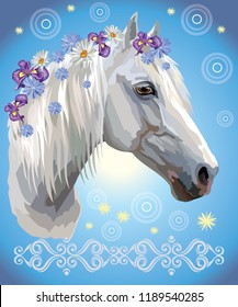 Vector colorful illustration. Portrait of white horse with different flowers in mane isolated on blue gradient background with decorative ornament and circles. Image for art and design 