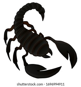 Vector colorful illustration of a scorpion on a white background. Suitable for tattoo, design, shirts, brand logo, badge, printed cups, cards.