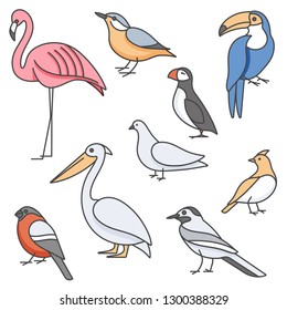 Vector colorful illustration set of birds - pigeon, nuthatch, flamingo, toucan and others in trendy linear style. Isolated on white