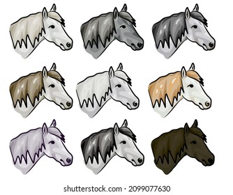Conjunto de ilustraciones de color vectorial: jefes de caballos listos para imprimir