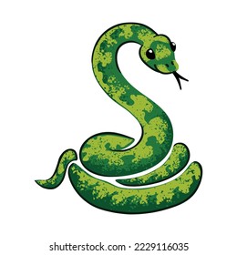 Vector Colorful Illustration of Snake rises Isolated on White Background
