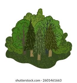 Vector Colorful Illustration of Summer Forest Isolated on White Background