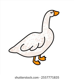 Vector Colorful Illustration of White Goose Isolated on White Background