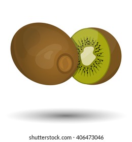 Vector colorful kiwi icon