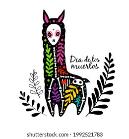 Vector colorful lama or alpaca skeleton with floral design, isolated on white background. Dia de los Muertos, Day of the dead or Halloween concept