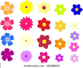 Vector of colorful lavender, carnations, forget-me-nots and gerbera flowers isolated on a white background