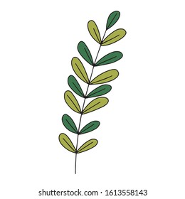 Vector colorful leaf on white background. For card.