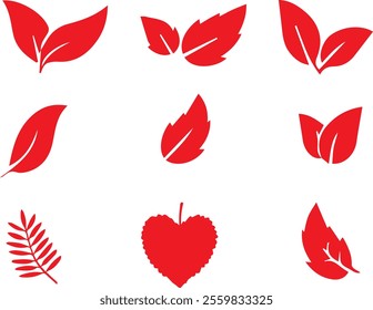 vector colorful leaf set drawings designs