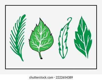 vector colorful leafs design template