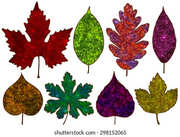 Vector colorful leaves isolated.  EPS10.